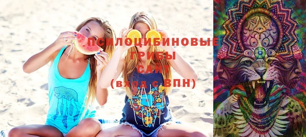ПСИЛОЦИБИНОВЫЕ ГРИБЫ Верхний Тагил