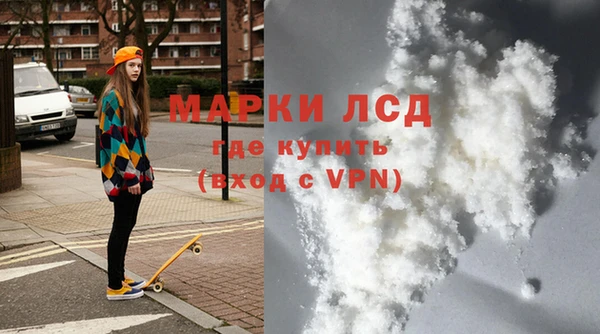 прущие грибы Бронницы