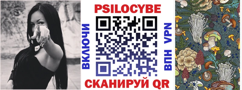 Псилоцибиновые грибы Magic Shrooms  где купить наркоту  гидра вход  Новочебоксарск 